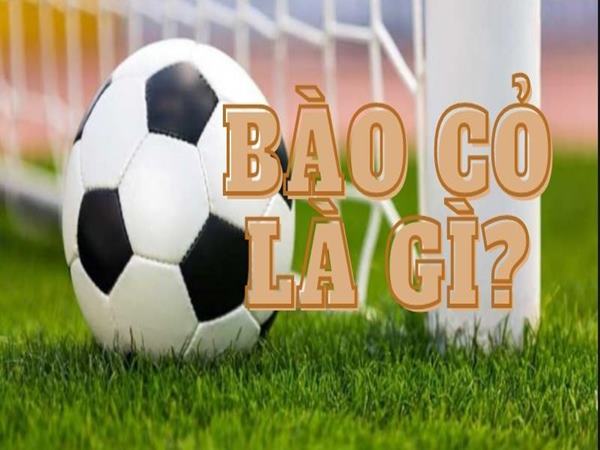 bao-co-la-gi-cach-bao-co-bong-da-de-kiem-tien-tu-nha-cai