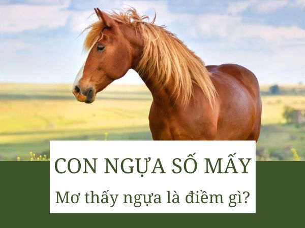 Con ngựa số mấy? Luận giải điềm báo lành dữ từ giấc mơ thấy ngựa