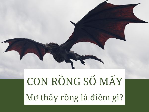 Con rồng số mấy? Dự báo tương lai khi nằm mơ thấy rồng