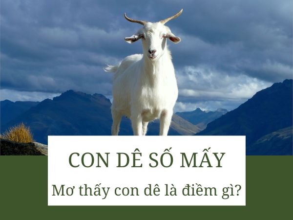 Con dê số mấy? Nằm mơ thấy con dê báo hiệu điềm may hay xui?