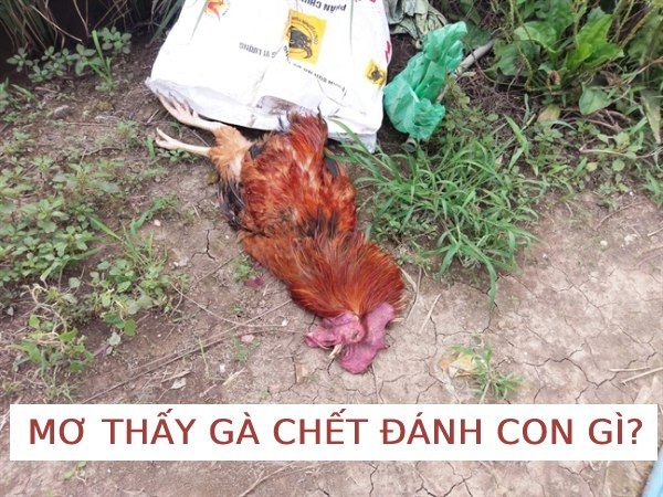 "Điềm