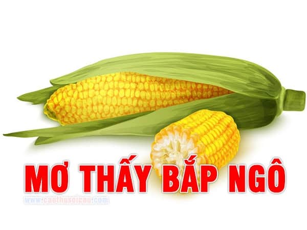 Giải mã giấc mơ thấy bắp ngô