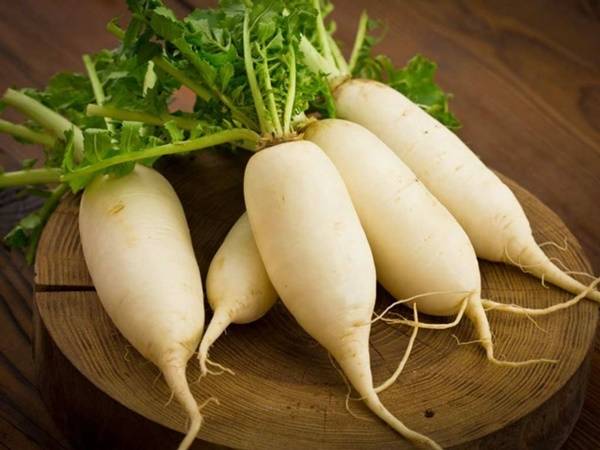 Nằm mơ thấy củ cải Nằm mơ thấy củ cải