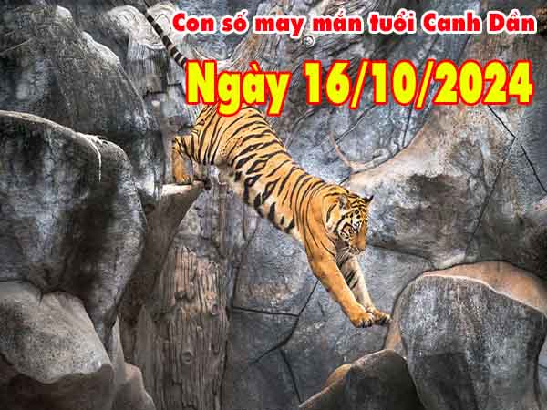 Nhận định con số may mắn tuổi Canh Dần ngày 16/10/2024 thứ 4 hôm nay