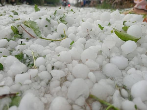 Phòng tránh mưa đá như thế nào