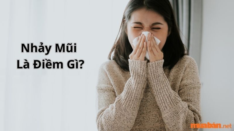 Điềm báo nhảy mũi theo ngày trong tuần có ý nghĩa gì?