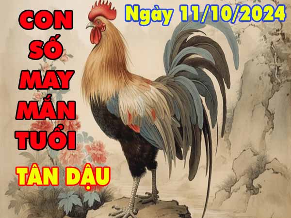 Nhận định con số may mắn tuổi Tân Dậu ngày 11/10/2024 thứ 6 hôm nay