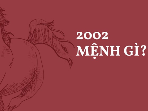 Mệnh Mộc 2002 hợp số nào mang đến nặng lượng mới