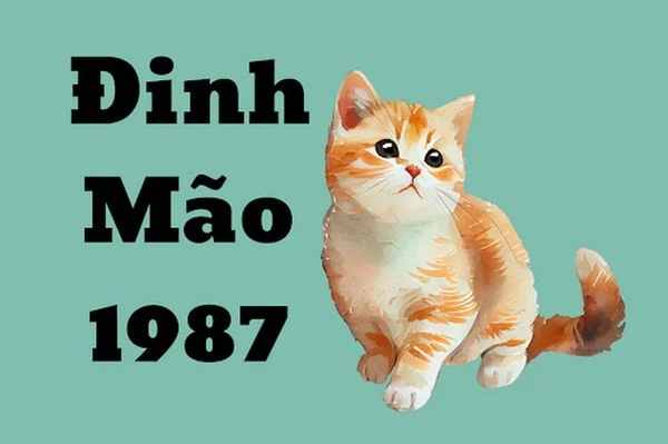 Con số tài lộc tuổi Đinh Mão 15/5/2025 là số mấy?