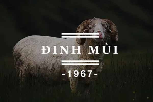 Chọn số may mắn của tuổi Đinh Mùi hôm nay rước tài lộc