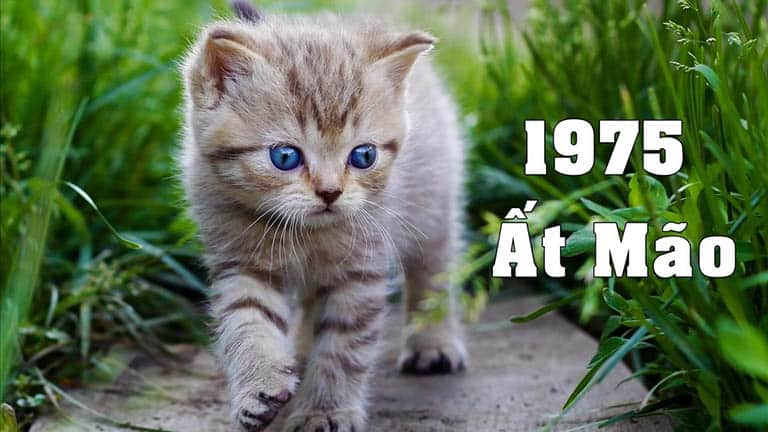 Con số đẹp tuổi Ất Mão ngày 8/5/2025 hé lộ tài lộc