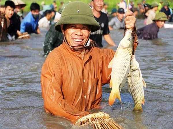 Cùng luận giải ý nghĩa thú vị của giấc mơ thấy bắt cá