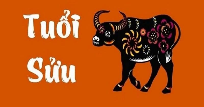 Phân tích cặp số đẹp cho tuổi Sửu 20/6/2025 theo từng năm sinh