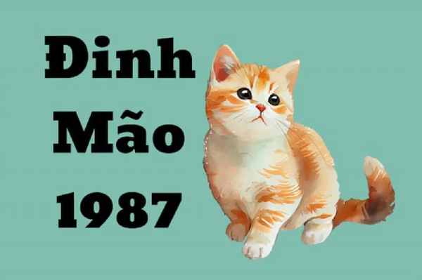 Con số may mắn tuổi Đinh Mão hôm nay cải vận không?