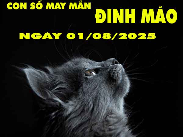 Con số may mắn tuổi Đinh Mão ngày 1/8/2025 thứ 6 hôm nay