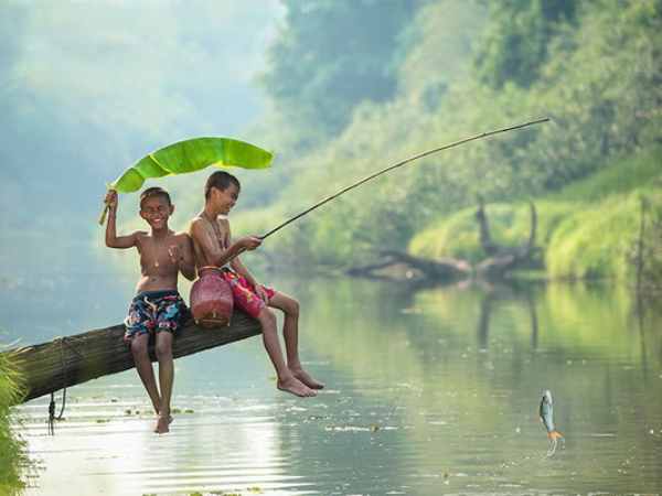 Giải mã ý nghĩa giấc mơ thấy đi câu cá chi tiết