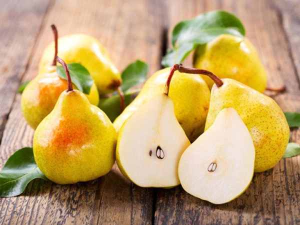 Nằm mộng thấy quả lê chín mọng trên cây
