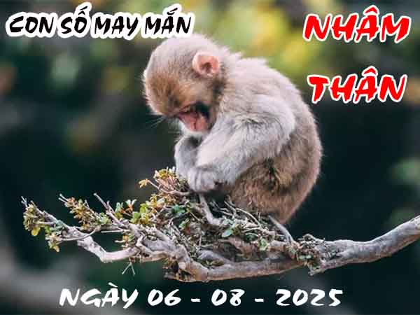 Con số tài lộc tuổi Nhâm Thân ngày 6/8/2025 theo thời tiết