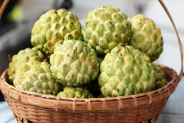 Nằm mơ thấy quả na có liên quan đến tài lộc không?