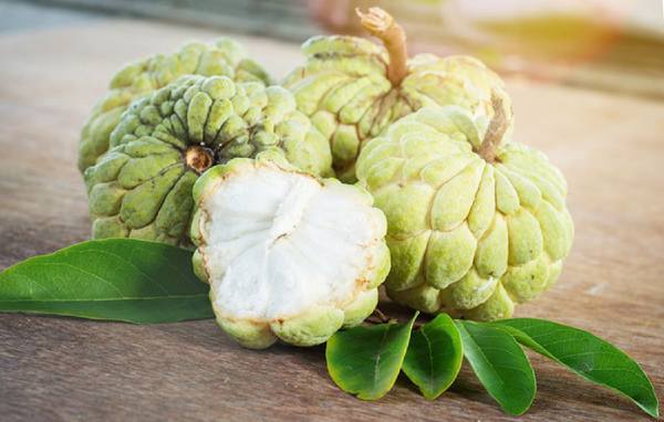 Mơ thấy nhiều quả na trên cành hoặc trong giỏ