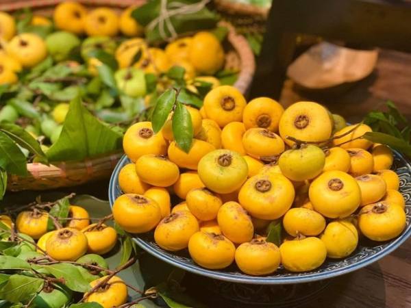 Chiêm bao thấy hái quả thị trên cây