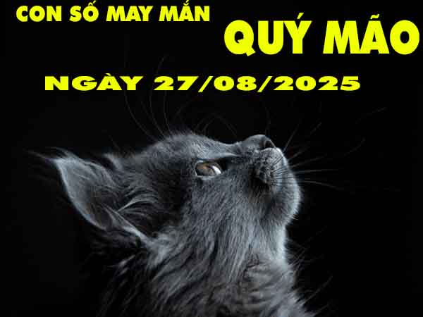 Con số may mắn tuổi Quý Mão ngày 27/8/2025 thứ 4 hôm nay