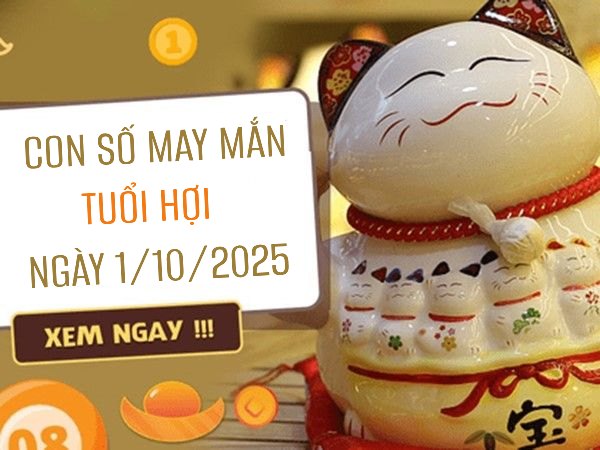 Phân tích con số may mắn tuổi Hợi ngày 1/10/2025