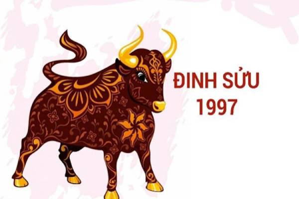 Số may mắn tuổi Đinh Sửu hôm nay dự báo vận hạn gì?