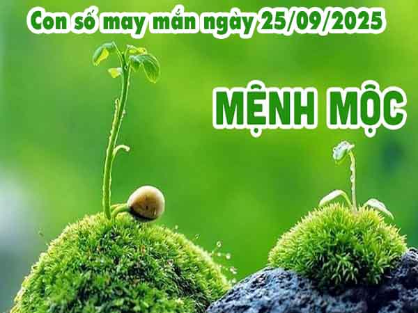 Phân tích con số may mắn người mệnh Mộc ngày 25/9/2025 thứ 5 hôm nay