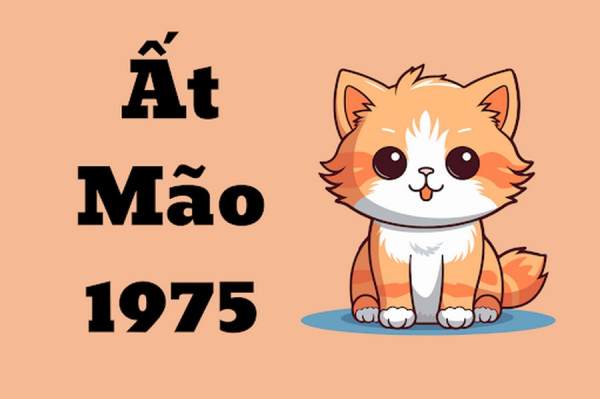 Tổng quan vận trình tử vi tuổi Ất Mão 12/10/2025