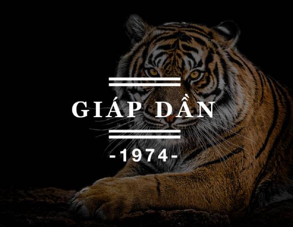 Bí ẩn con số may mắn của tuổi Giáp Dần hôm nay ra sao?
