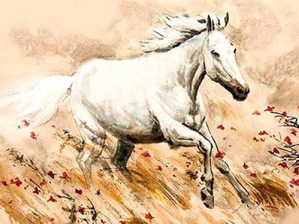 con số may mắn ngày 26/3/2026 tuổi Canh Ngọ