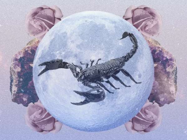 Tử vi cung Bọ Cạp ngày 12/4