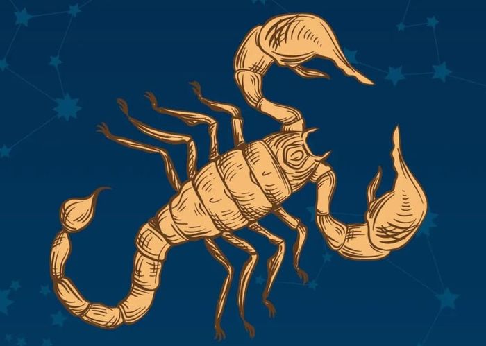 Gợi ý con số may mắn ngày 8/5 cung Bọ Cạp theo từng nhóm